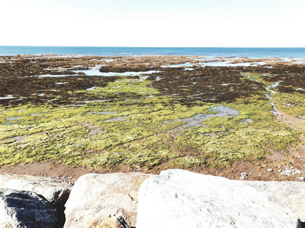 Le Temps D'Une Pause Brétignolles-sur-Mer Exterior foto